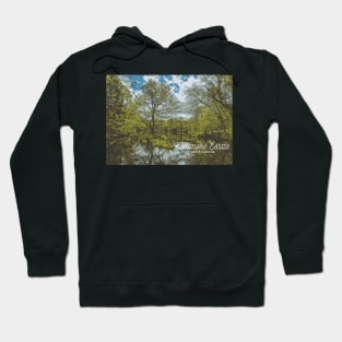 Biltmore Estate Hoodie